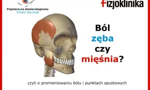 Model czaszki z zaznaczonymi mięśniami żuchwy. Pytanie: Ból zęba czy mięśnia? #fizjoterapiastomatologiczna