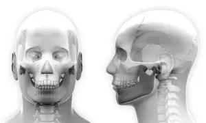 Anatomia czaszki z przodu i z boku, ukazująca staw skroniowo-żuchwowy, kluczowy przy zwichnięciu szczęki.