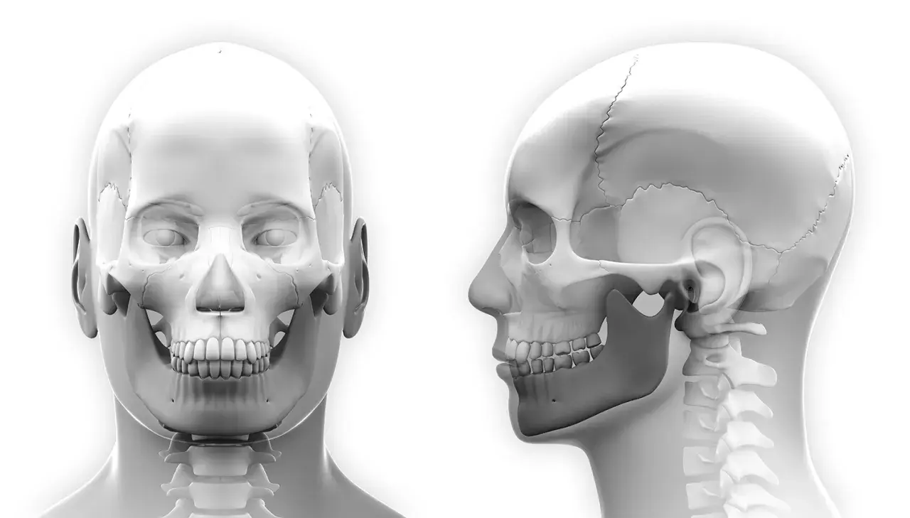 Anatomia czaszki z przodu i z boku, ukazująca staw skroniowo-żuchwowy, kluczowy przy zwichnięciu szczęki.