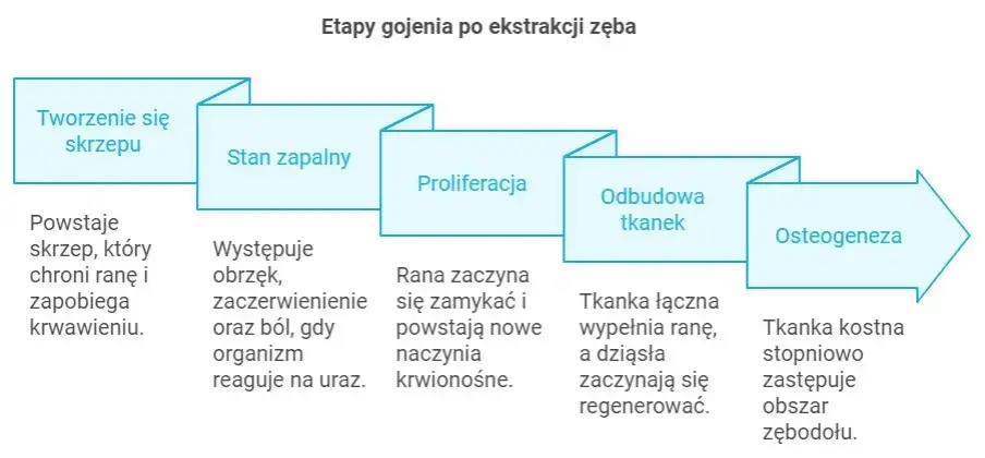 timeline gojenia rany po wyrwaniu zęba