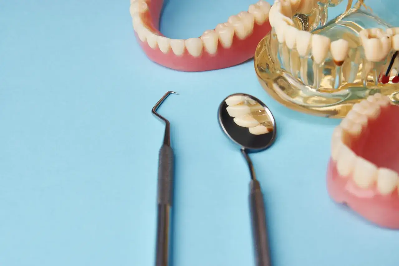 Modele szczęk i narzędzia stomatologiczne, w tym lusterko odbijające zęby, sugerują wizytę u dentysty, być może w związku z zabiegiem hemisekcji zęba.